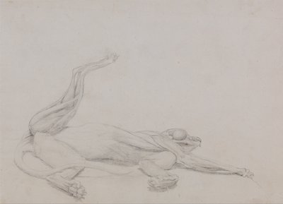 A Comparative Anatomical Exposition of the Structure of the Human Body with that of a Tiger and a Cow by George Stubbs